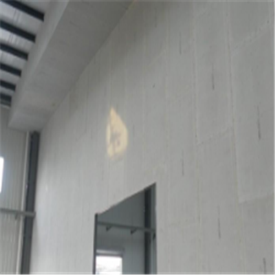 海林新型建筑材料掺多种工业废渣的ALC|ACC|FPS模块板材轻质隔墙板